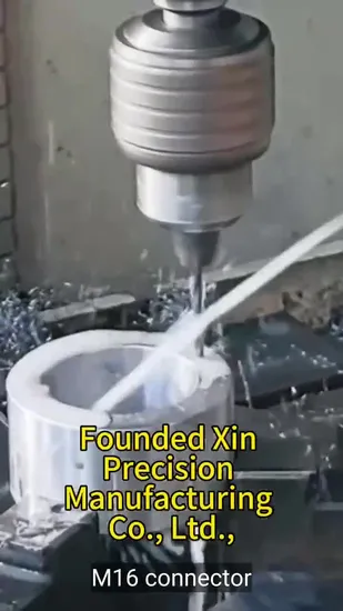 Customized Stainless Steel Screw/Nut/Bolt CNC Machinery Parts for Industry